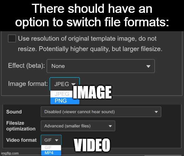 Switch File Formats | There should have an option to switch file formats:; IMAGE; VIDEO | image tagged in ideas,imgflip,images,videos,file formats,gif | made w/ Imgflip meme maker
