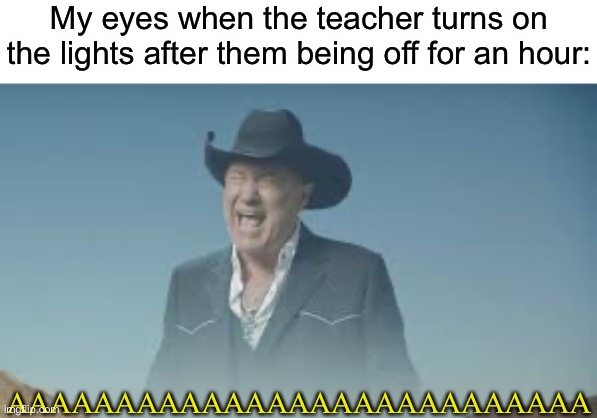 Or at least everyone else… | My eyes when the teacher turns on the lights after them being off for an hour:; AAAAAAAAAAAAAAAAAAAAAAAAAAA | image tagged in memes,school,aaaaaaaaaaaaaaaaaaaaaaaaaaa | made w/ Imgflip meme maker