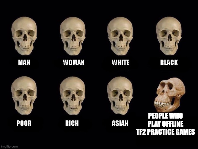 Basically me | PEOPLE WHO PLAY OFFLINE TF2 PRACTICE GAMES | image tagged in empty skulls of truth | made w/ Imgflip meme maker