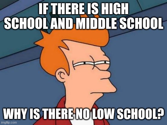 Futurama Fry | IF THERE IS HIGH SCHOOL AND MIDDLE SCHOOL; WHY IS THERE NO LOW SCHOOL? | image tagged in memes,futurama fry | made w/ Imgflip meme maker