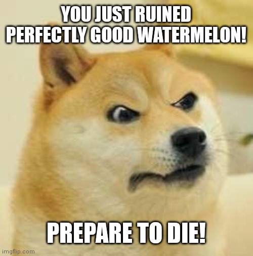 angry doge | YOU JUST RUINED PERFECTLY GOOD WATERMELON! PREPARE TO DIE! | image tagged in angry doge | made w/ Imgflip meme maker