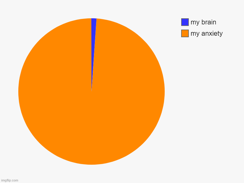 my anxiety, my brain | image tagged in charts,pie charts | made w/ Imgflip chart maker