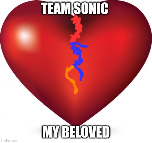 broken heart  | TEAM SONIC; MY BELOVED | image tagged in broken heart | made w/ Imgflip meme maker