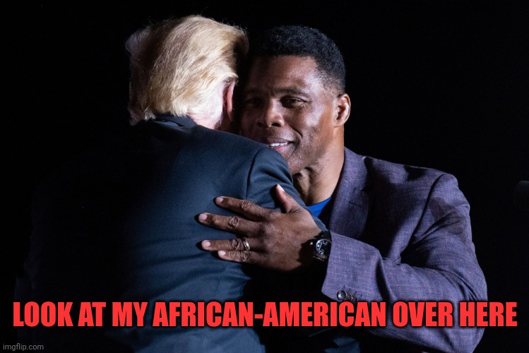Herschel Walker Donald Trump | LOOK AT MY AFRICAN-AMERICAN OVER HERE | image tagged in herschel walker donald trump | made w/ Imgflip meme maker