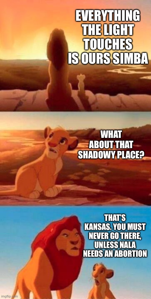 EVERYTHING THE LIGHT TOUCHES IS OURS SIMBA; WHAT ABOUT THAT SHADOWY PLACE? THAT’S KANSAS. YOU MUST NEVER GO THERE, UNLESS NALA NEEDS AN ABORTION | made w/ Imgflip meme maker