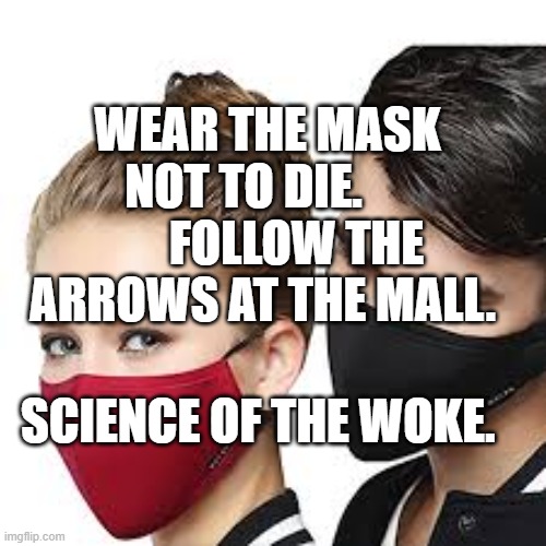 Mask Couple | WEAR THE MASK NOT TO DIE.            FOLLOW THE ARROWS AT THE MALL. SCIENCE OF THE WOKE. | image tagged in mask couple | made w/ Imgflip meme maker