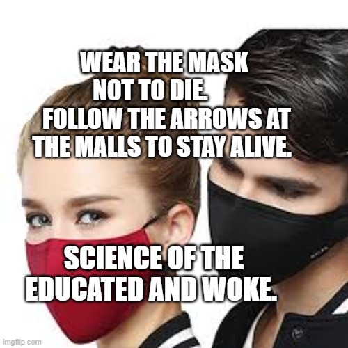 Mask Couple | WEAR THE MASK NOT TO DIE.      
 FOLLOW THE ARROWS AT THE MALLS TO STAY ALIVE. SCIENCE OF THE EDUCATED AND WOKE. | image tagged in mask couple | made w/ Imgflip meme maker