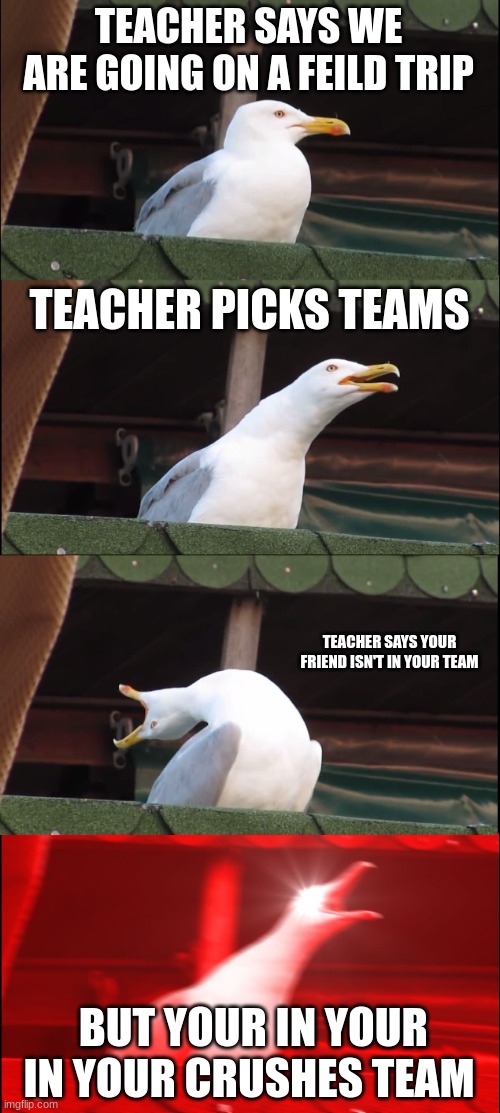 sus | TEACHER SAYS WE ARE GOING ON A FEILD TRIP; TEACHER PICKS TEAMS; TEACHER SAYS YOUR FRIEND ISN'T IN YOUR TEAM; BUT YOUR IN YOUR IN YOUR CRUSHES TEAM | image tagged in memes,inhaling seagull | made w/ Imgflip meme maker