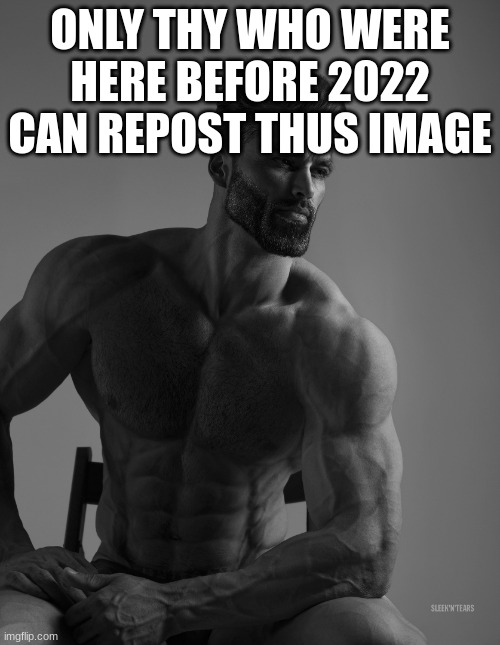 Giga Chad | ONLY THY WHO WERE HERE BEFORE 2022 CAN REPOST THUS IMAGE | image tagged in giga chad | made w/ Imgflip meme maker