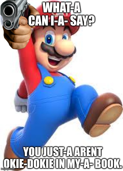 mario |  WHAT-A CAN I-A- SAY? YOU JUST-A ARENT OKIE-DOKIE IN MY-A- BOOK. | image tagged in mario | made w/ Imgflip meme maker