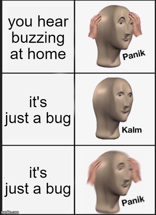 charismas memes | you hear buzzing at home; it's just a bug; it's just a bug | image tagged in memes,panik kalm panik | made w/ Imgflip meme maker