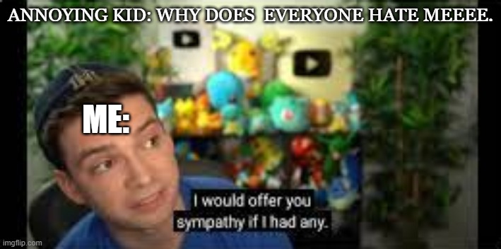 I Would Offer You Sympathy If I Had Any | ANNOYING KID: WHY DOES  EVERYONE HATE MEEEE. ME: | image tagged in i would offer you sympathy if i had any | made w/ Imgflip meme maker