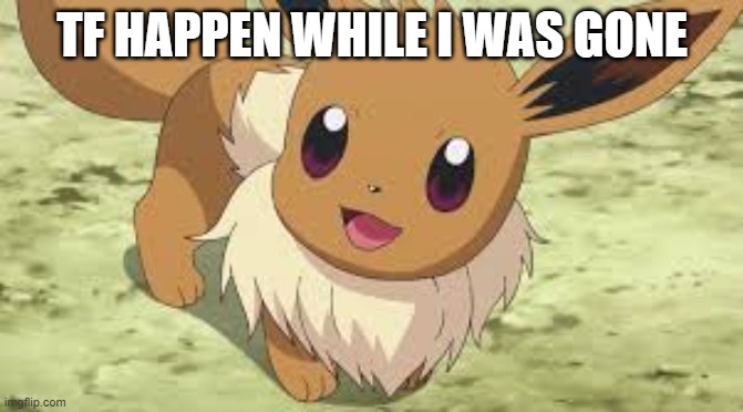 im back now | TF HAPPEN WHILE I WAS GONE | image tagged in eevee | made w/ Imgflip meme maker