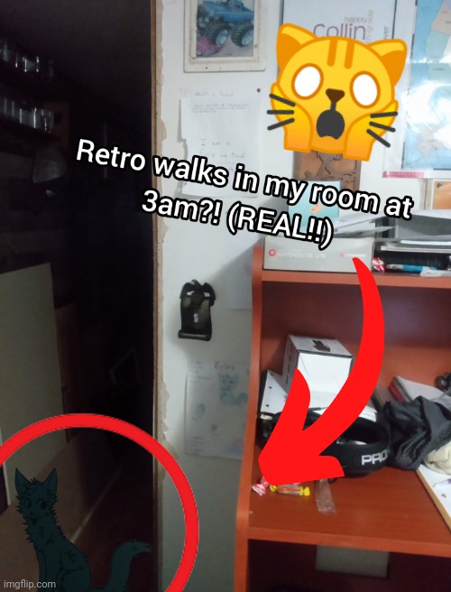 Real | 🙀 | image tagged in shitpost,retrothefloof | made w/ Imgflip meme maker