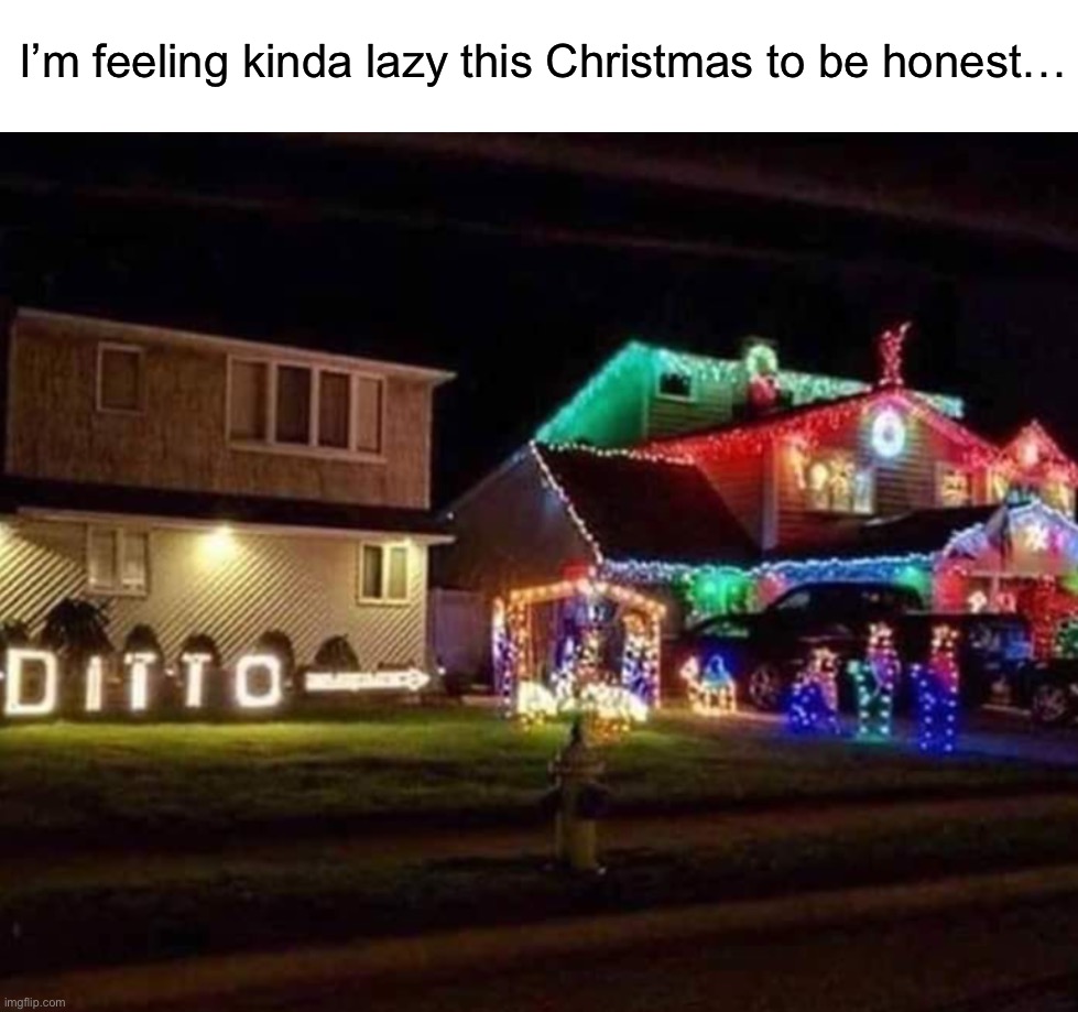 I would totally do this if someone like that lived next to me | I’m feeling kinda lazy this Christmas to be honest… | image tagged in memes,funny,relatable memes,christmas,awesome,christmas lights | made w/ Imgflip meme maker
