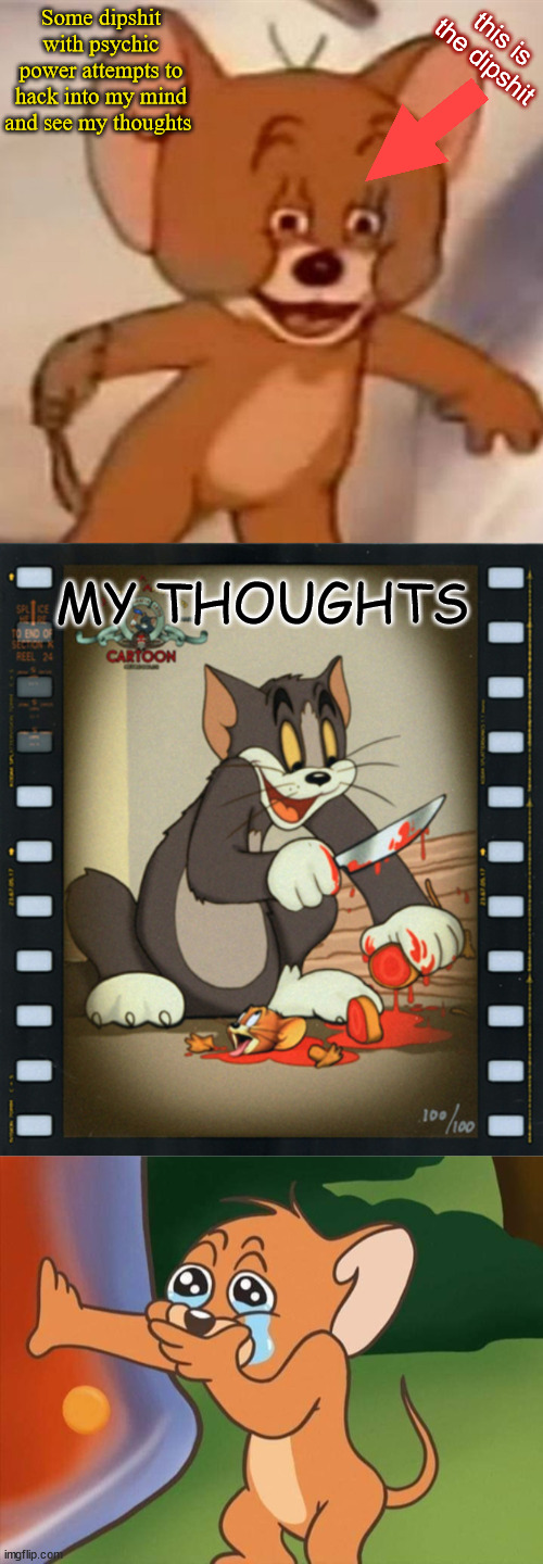 -_- | Some dipshit with psychic power attempts to hack into my mind and see my thoughts; this is the dipshit; MY THOUGHTS | image tagged in knife,blood,cats,mice,and screw you jerry | made w/ Imgflip meme maker
