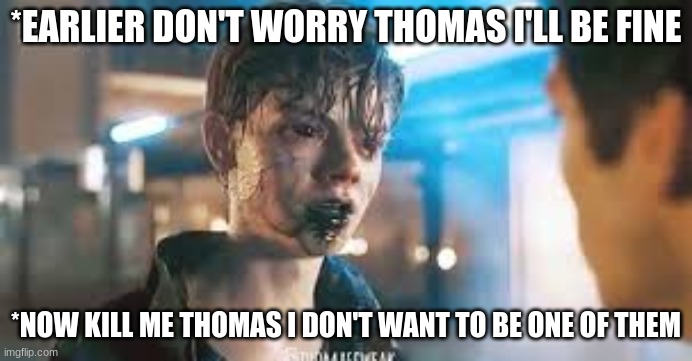 newt dieing? | *EARLIER DON'T WORRY THOMAS I'LL BE FINE; *NOW KILL ME THOMAS I DON'T WANT TO BE ONE OF THEM | image tagged in crank newt maze runner | made w/ Imgflip meme maker