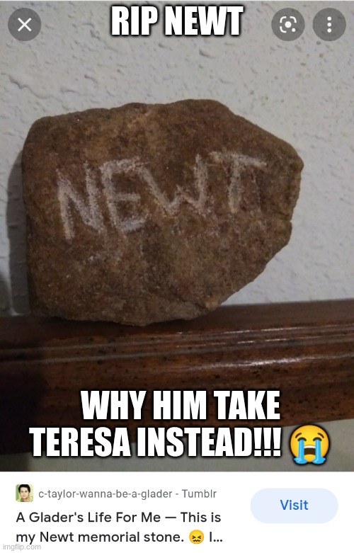 Newt Maze Runner memorial stone | RIP NEWT; WHY HIM TAKE TERESA INSTEAD!!! 😭 | image tagged in newt maze runner memorial stone | made w/ Imgflip meme maker