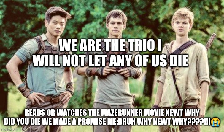 the iconic trio | WE ARE THE TRIO I WILL NOT LET ANY OF US DIE; READS OR WATCHES THE MAZERUNNER MOVIE NEWT WHY DID YOU DIE WE MADE A PROMISE ME:BRUH WHY NEWT WHY????!!!😭 | image tagged in the iconic trio | made w/ Imgflip meme maker