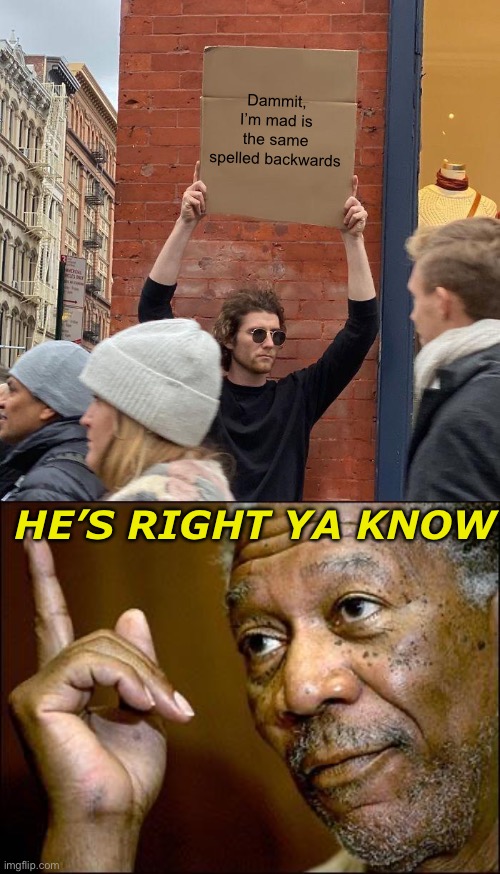 Kewl ? | Dammit, I’m mad is the same spelled backwards; HE’S RIGHT YA KNOW | image tagged in memes,guy holding cardboard sign,this morgan freeman | made w/ Imgflip meme maker