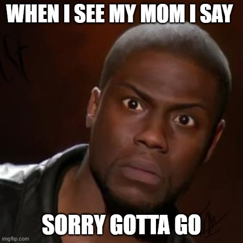 Kevin hart funny image | WHEN I SEE MY MOM I SAY; SORRY GOTTA GO | image tagged in kevin hart funny image | made w/ Imgflip meme maker