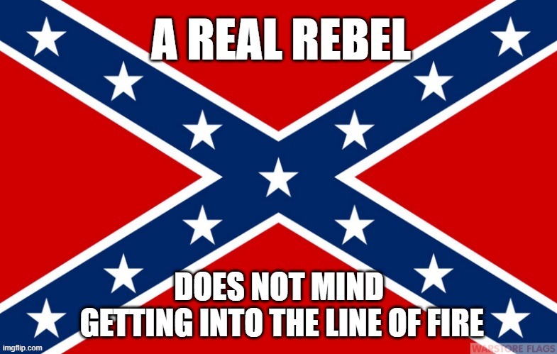 rebel | image tagged in rebel,rebel flag,united we stand | made w/ Imgflip meme maker