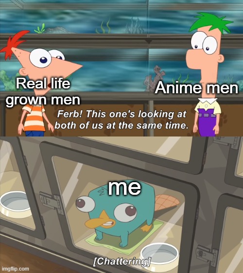 I have issues | Anime men; Real life grown men; me | image tagged in phineas and ferb | made w/ Imgflip meme maker