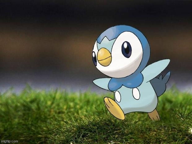 Unpopular Opinion Piplup | image tagged in unpopular opinion piplup | made w/ Imgflip meme maker