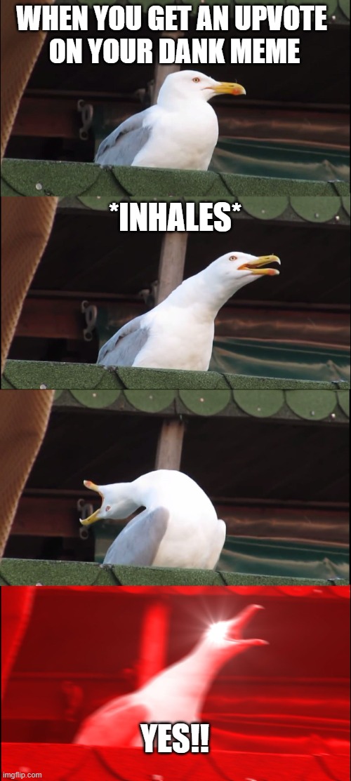 Posting a meme, | WHEN YOU GET AN UPVOTE 
ON YOUR DANK MEME; *INHALES*; YES!! | image tagged in memes,inhaling seagull | made w/ Imgflip meme maker