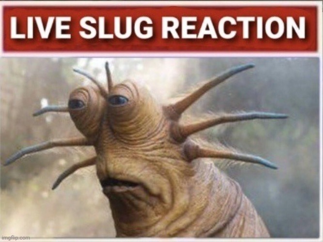 Live slug reaction | image tagged in live slug reaction | made w/ Imgflip meme maker