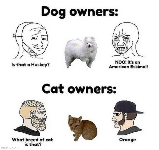 image tagged in funny memes | made w/ Imgflip meme maker