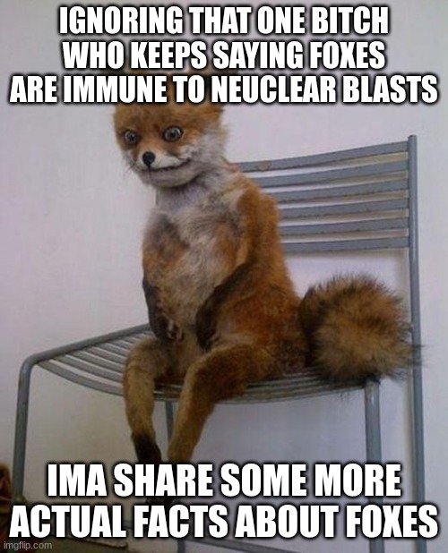 Tired fox | IGNORING THAT ONE BITCH WHO KEEPS SAYING FOXES ARE IMMUNE TO NEUCLEAR BLASTS; IMA SHARE SOME MORE ACTUAL FACTS ABOUT FOXES | image tagged in tired fox | made w/ Imgflip meme maker