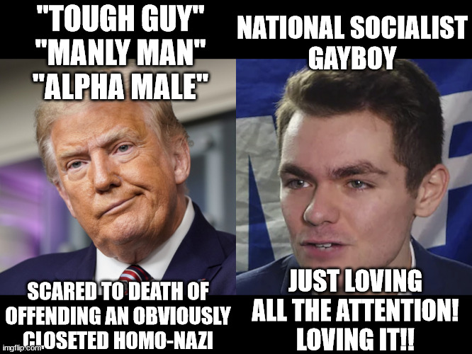 "Tough Guy" Trump Frightened By A Sissy... | "TOUGH GUY"
"MANLY MAN"
"ALPHA MALE"; NATIONAL SOCIALIST
GAYBOY; JUST LOVING
ALL THE ATTENTION!
LOVING IT!! SCARED TO DEATH OF
OFFENDING AN OBVIOUSLY
CLOSETED HOMO-NAZI | image tagged in orange hitler/would-be hitler | made w/ Imgflip meme maker