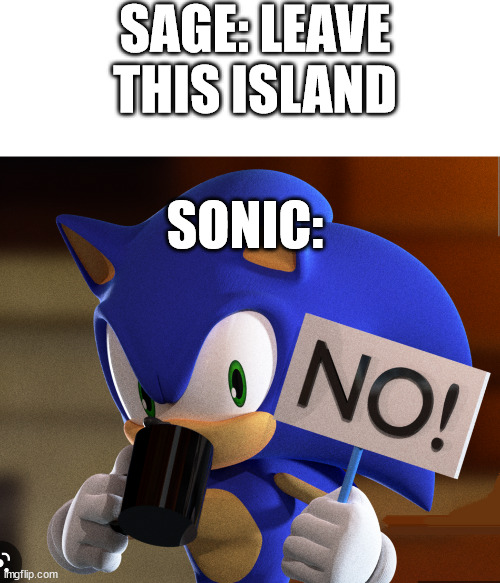 Sage turned out all right in the end | SAGE: LEAVE THIS ISLAND; SONIC: | image tagged in sonic the hedgehog | made w/ Imgflip meme maker