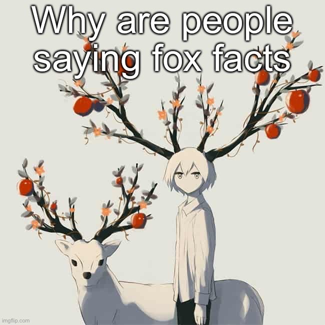 Avogado6 | Why are people saying fox facts | image tagged in avogado6 | made w/ Imgflip meme maker