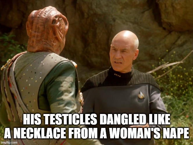Boy It's a Tough Language | HIS TESTICLES DANGLED LIKE A NECKLACE FROM A WOMAN'S NAPE | image tagged in picard talking to darmok | made w/ Imgflip meme maker