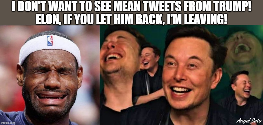 Lebron cries, Elon laughs | I DON'T WANT TO SEE MEAN TWEETS FROM TRUMP!
ELON, IF YOU LET HIM BACK, I'M LEAVING! Angel Soto | image tagged in political humor,trump,elon musk,lebron james crying,tweets | made w/ Imgflip meme maker