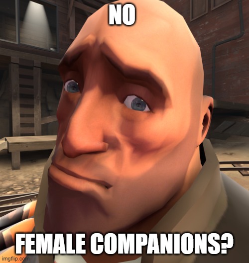 no anime? | NO FEMALE COMPANIONS? | image tagged in no anime | made w/ Imgflip meme maker