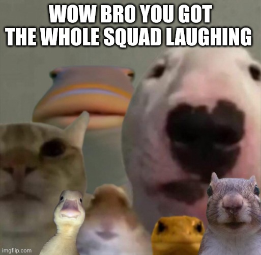 The council remastered | WOW BRO YOU GOT THE WHOLE SQUAD LAUGHING | image tagged in the council remastered | made w/ Imgflip meme maker