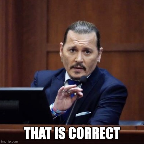 Johnny Depp That is Correct | THAT IS CORRECT | image tagged in johnny depp that is correct | made w/ Imgflip meme maker