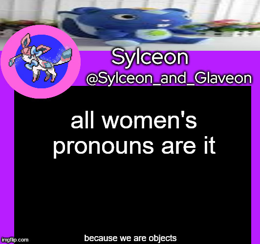 all women's pronouns are it; because we are objects | image tagged in sylceon_and_glaveon 5 0 | made w/ Imgflip meme maker