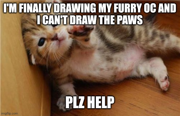 Help ;-; | I'M FINALLY DRAWING MY FURRY OC AND
I CAN'T DRAW THE PAWS; PLZ HELP | image tagged in help me kitten | made w/ Imgflip meme maker