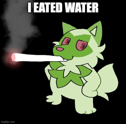 yummy water | I EATED WATER | image tagged in weed cat | made w/ Imgflip meme maker
