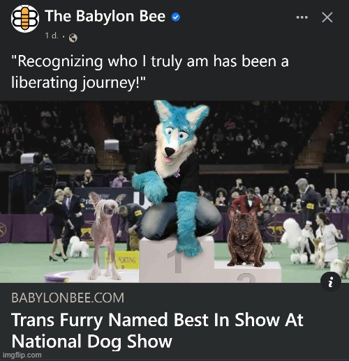 Satire people, satire | image tagged in satire,the babylon bee,funny,transgender,furries | made w/ Imgflip meme maker