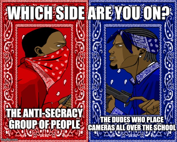 Which Side Are You On? | THE ANTI-SECRACY GROUP OF PEOPLE; THE DUDES WHO PLACE CAMERAS ALL OVER THE SCHOOL | image tagged in which side are you on | made w/ Imgflip meme maker
