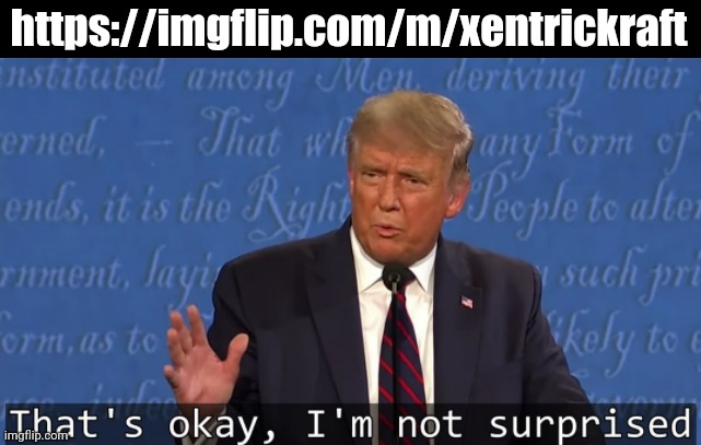 Like, atp | https://imgflip.com/m/xentrickraft | image tagged in that's okay i'm not surprised | made w/ Imgflip meme maker