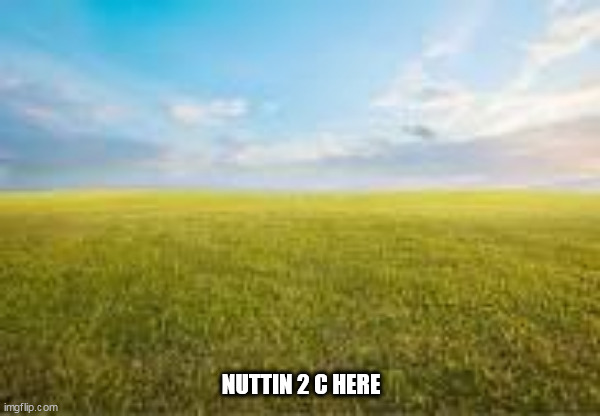 nuttin | NUTTIN 2 C HERE | image tagged in nuttin | made w/ Imgflip meme maker