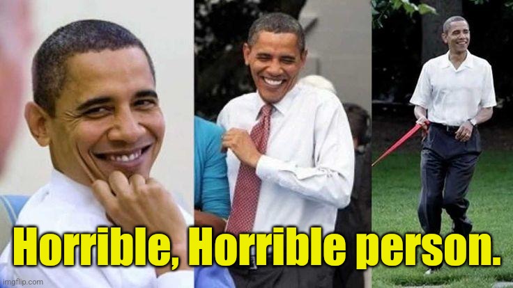 Gay Obama | Horrible, Horrible person. | image tagged in gay obama | made w/ Imgflip meme maker