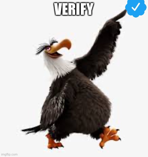 angry birds eagle | VERIFY | image tagged in angry birds eagle | made w/ Imgflip meme maker