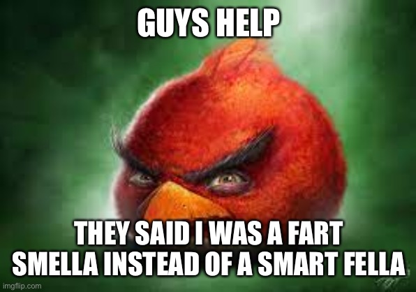 Realistic Red Angry Birds | GUYS HELP; THEY SAID I WAS A FART SMELLA INSTEAD OF A SMART FELLA | image tagged in realistic red angry birds | made w/ Imgflip meme maker